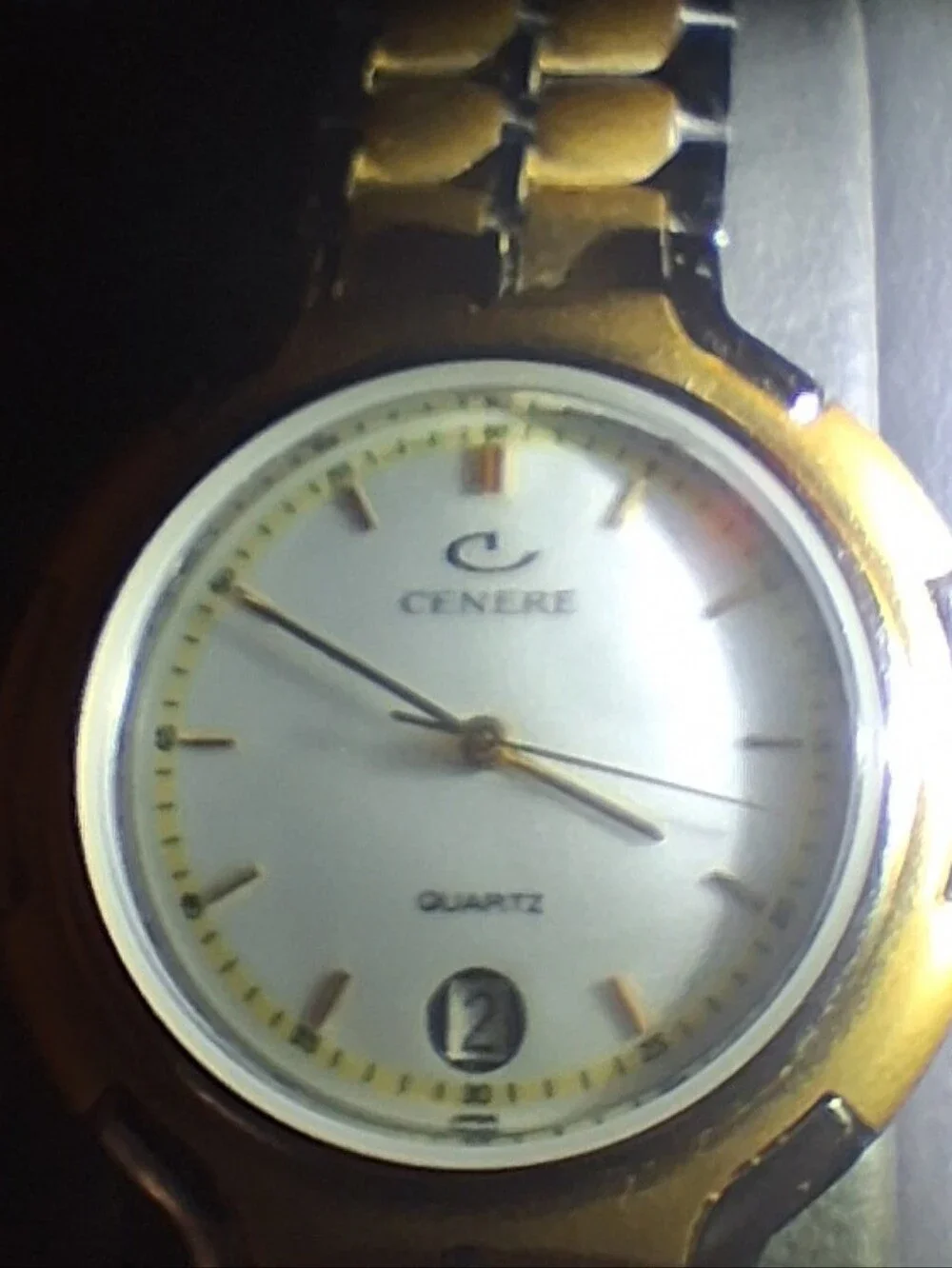 Vintage Cenere Gold Men's Quartz Watch - Gold Dial (New)